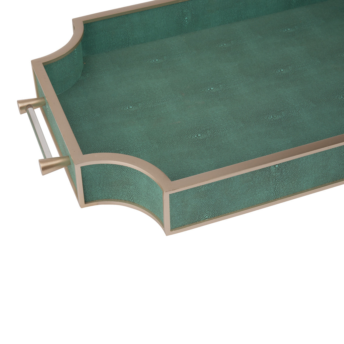 Shagreen Tray - Green