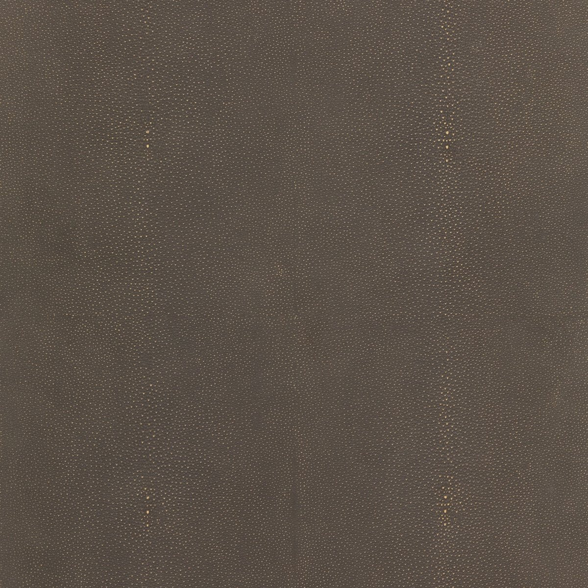 Shagreen Desk - Kings Fine Art & Decor