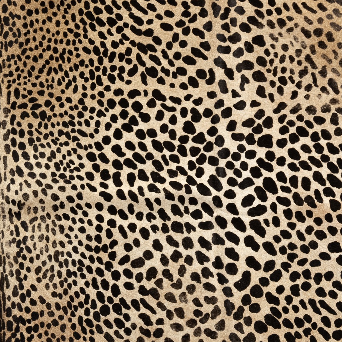 Leopard Printed Hide Rug - Kings Fine Art & Decor