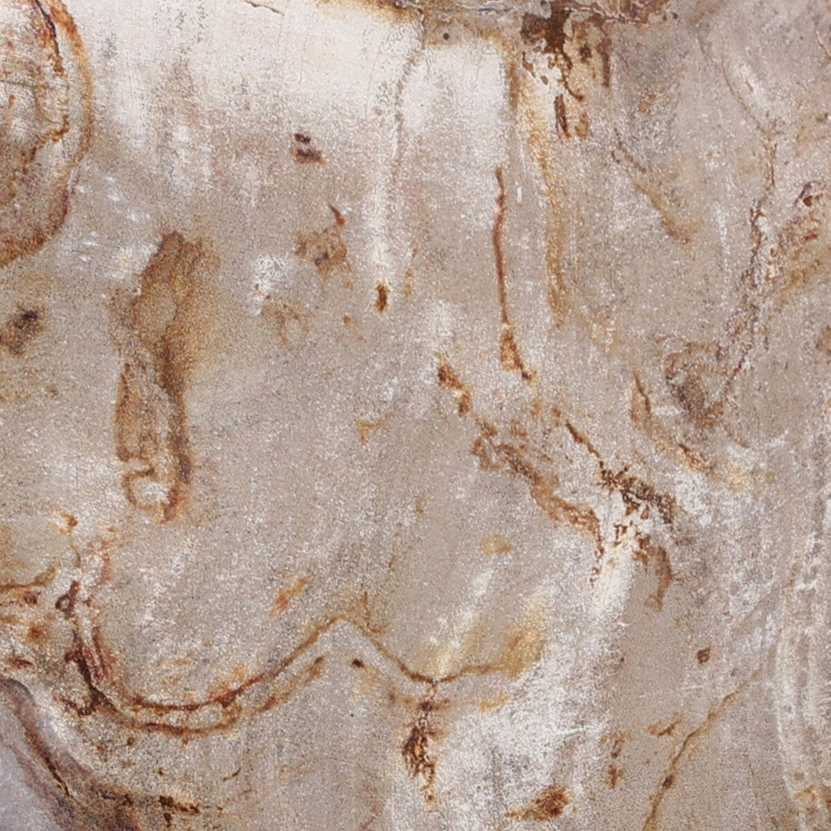 Petrified Wood Organic Sculpture, Set Of 3 - Kings Fine Art & Decor