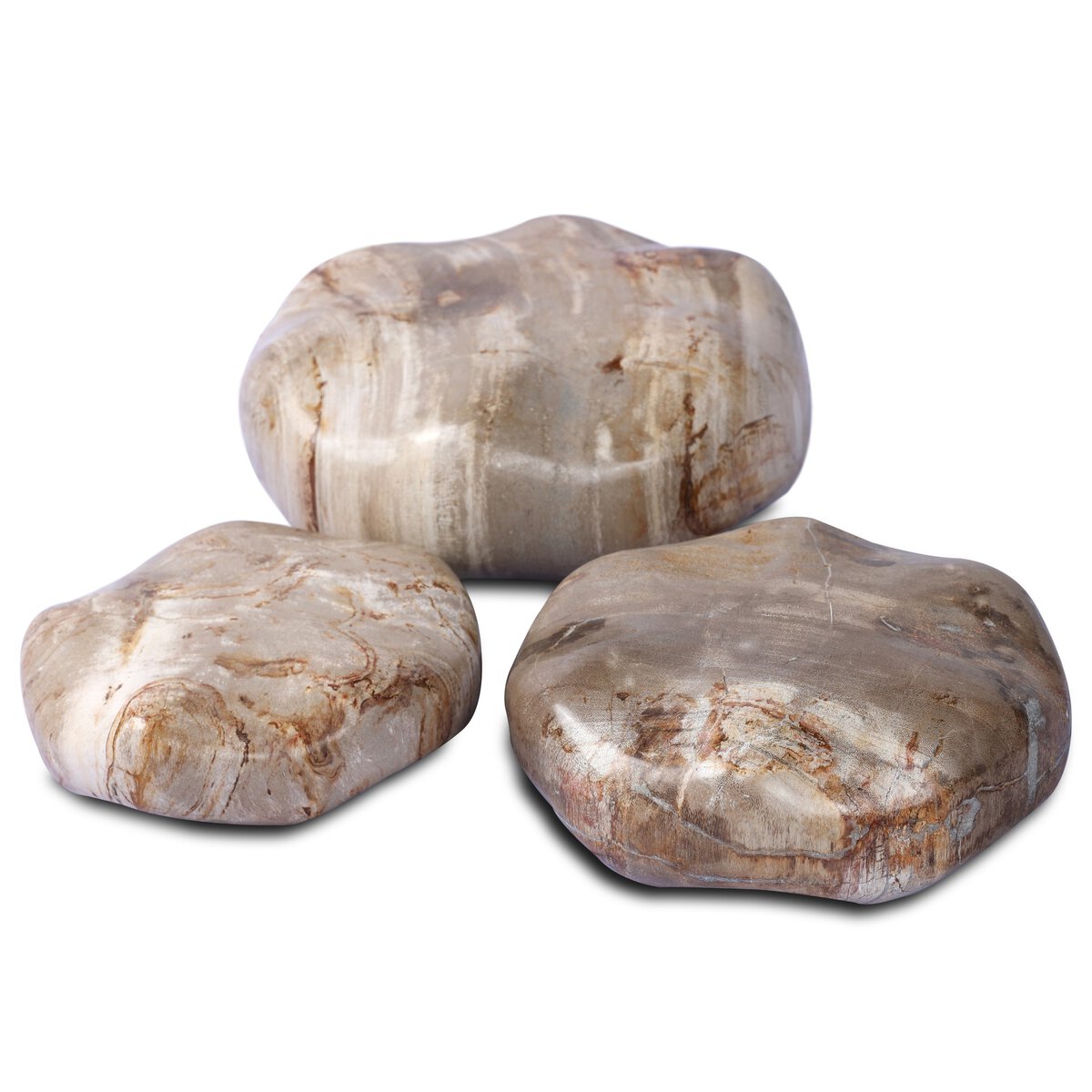 Petrified Wood Organic Sculpture, Set Of 3 - Kings Fine Art & Decor