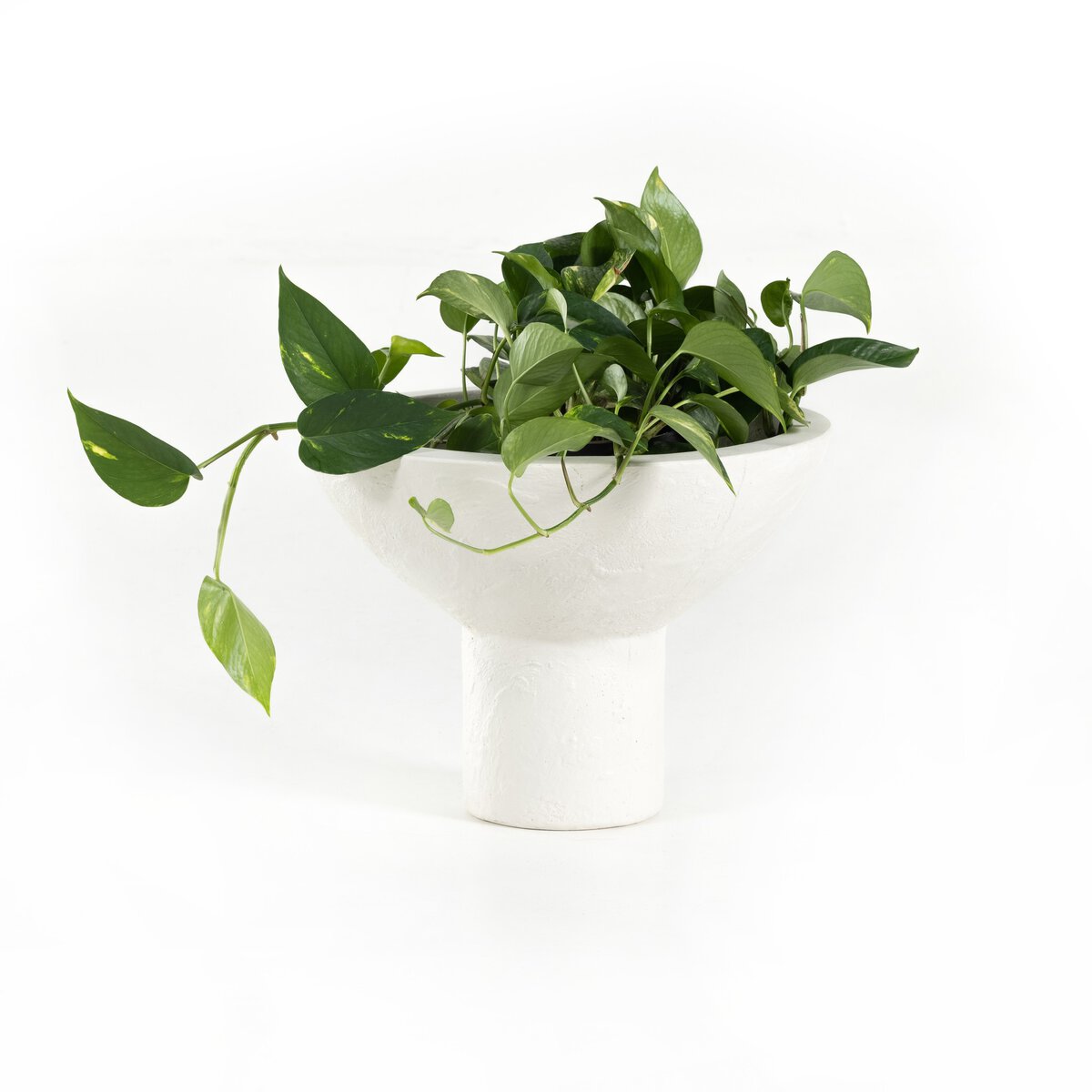 Pressler Outdoor Planter, Set Of 2 - Kings Fine Art & Decor