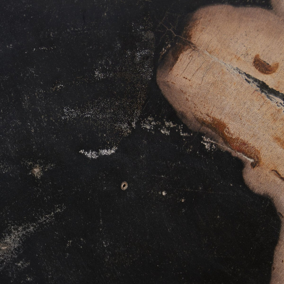 Petrified Wood Slab - Kings Fine Art & Decor