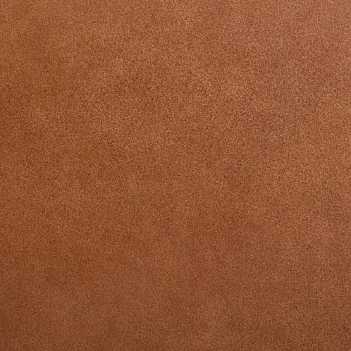 Dane Counter Stool - Kings Fine Art & Decor