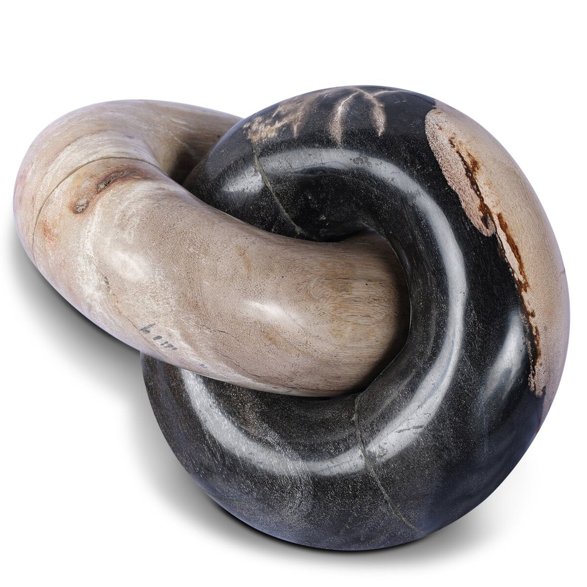 Petrified Wood Knot - Kings Fine Art & Decor