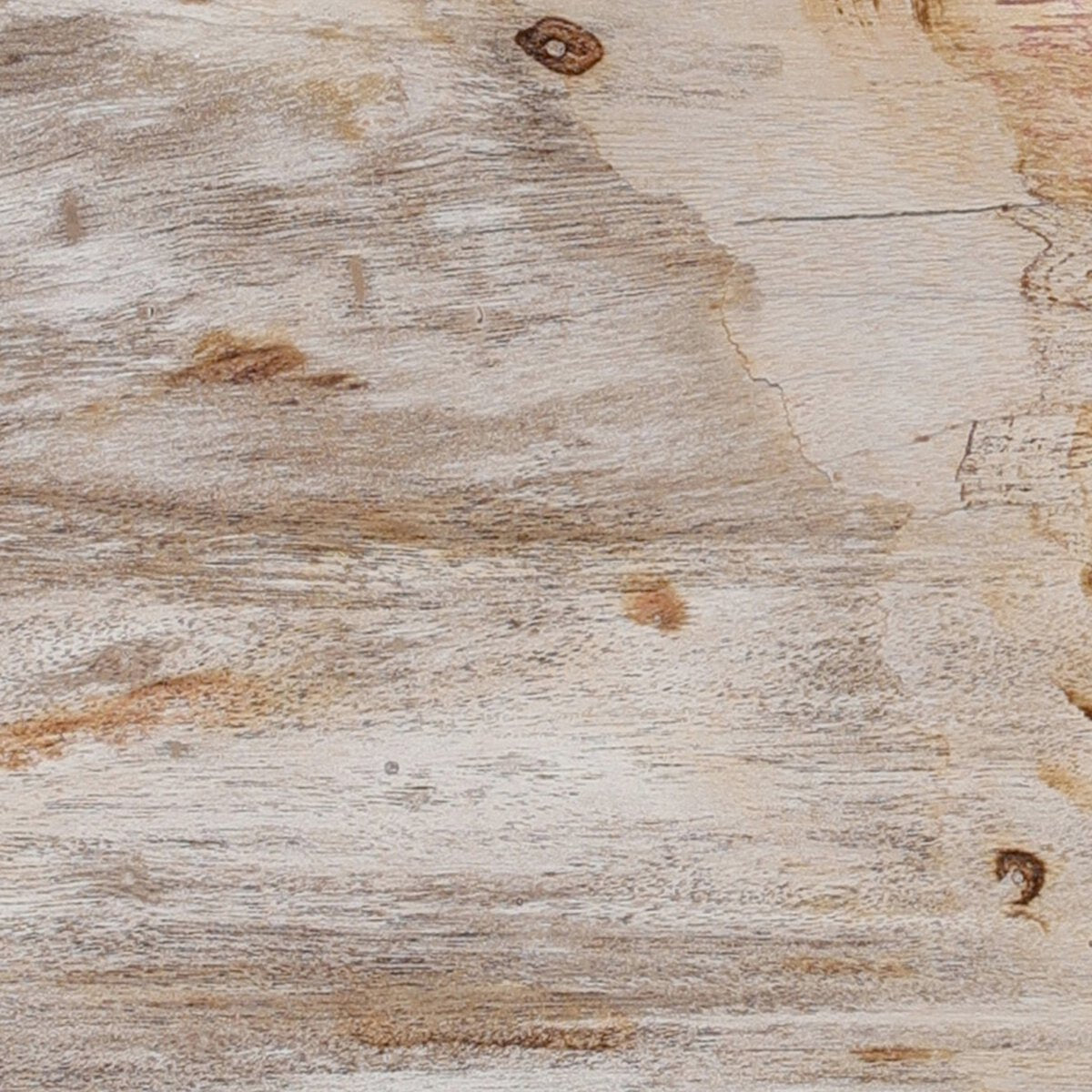 Petrified Wood Knot - Kings Fine Art & Decor