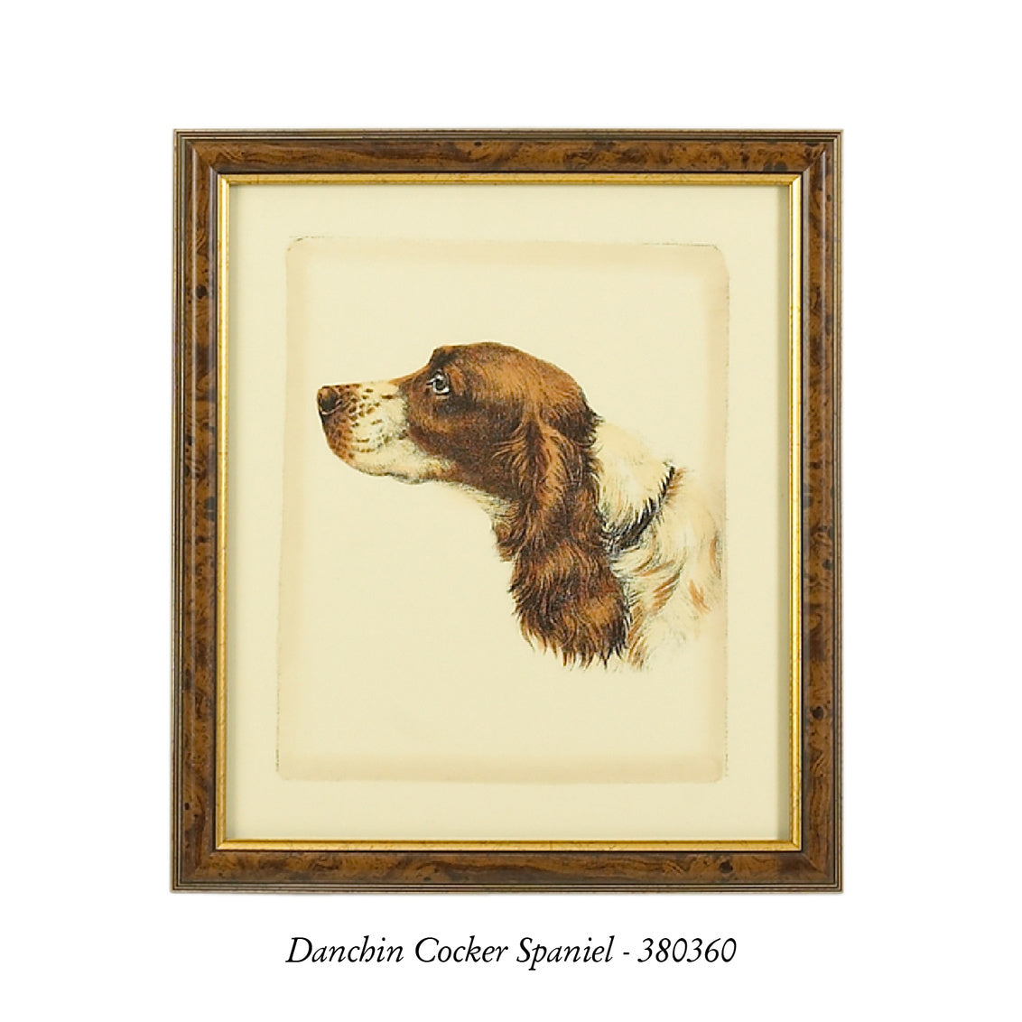 Danchin Brittany Spaniel