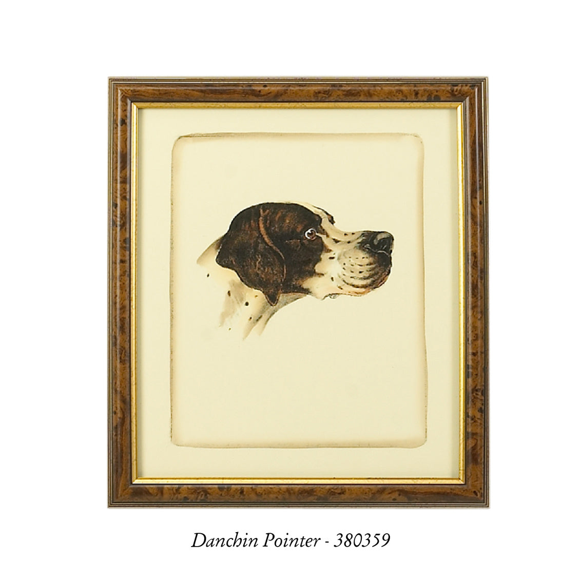 Danchin Cocker Spaniel