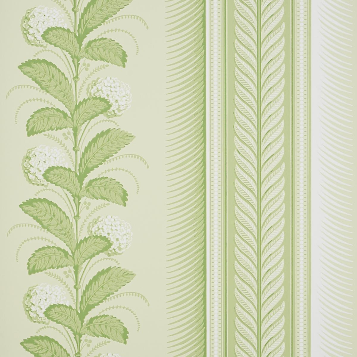 hydrangea-drape-5004456
