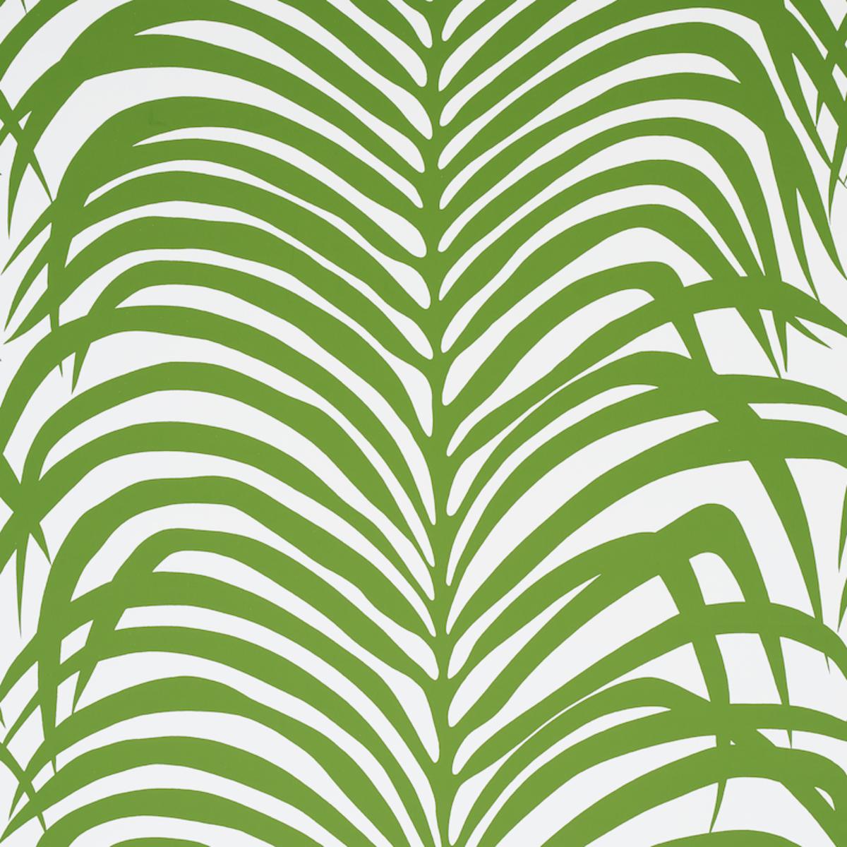 zebra-palm-5006931