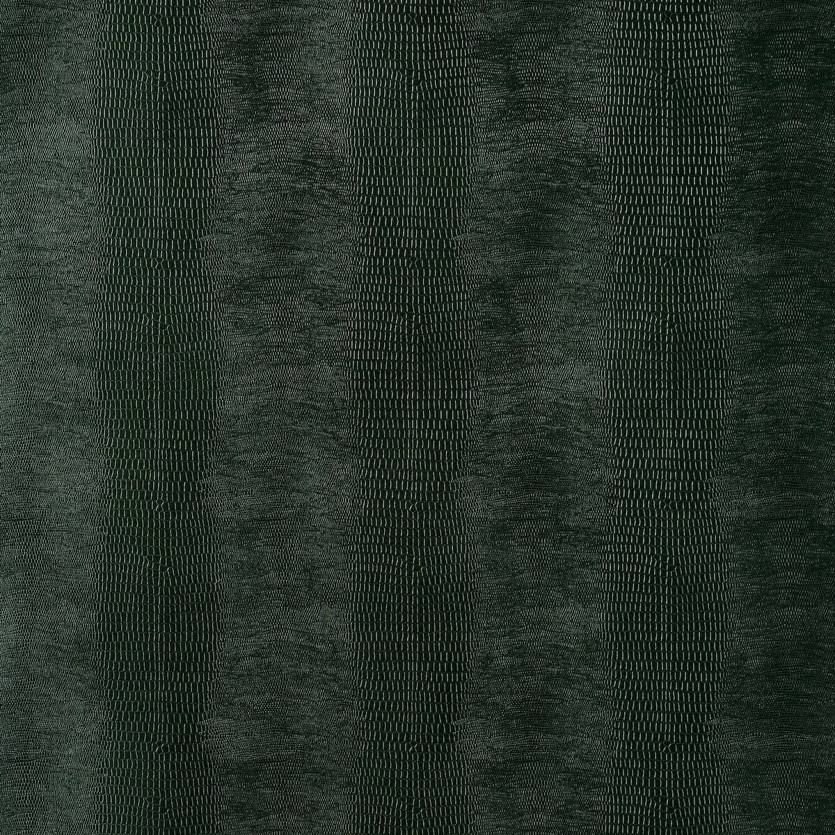 komodo-5007342