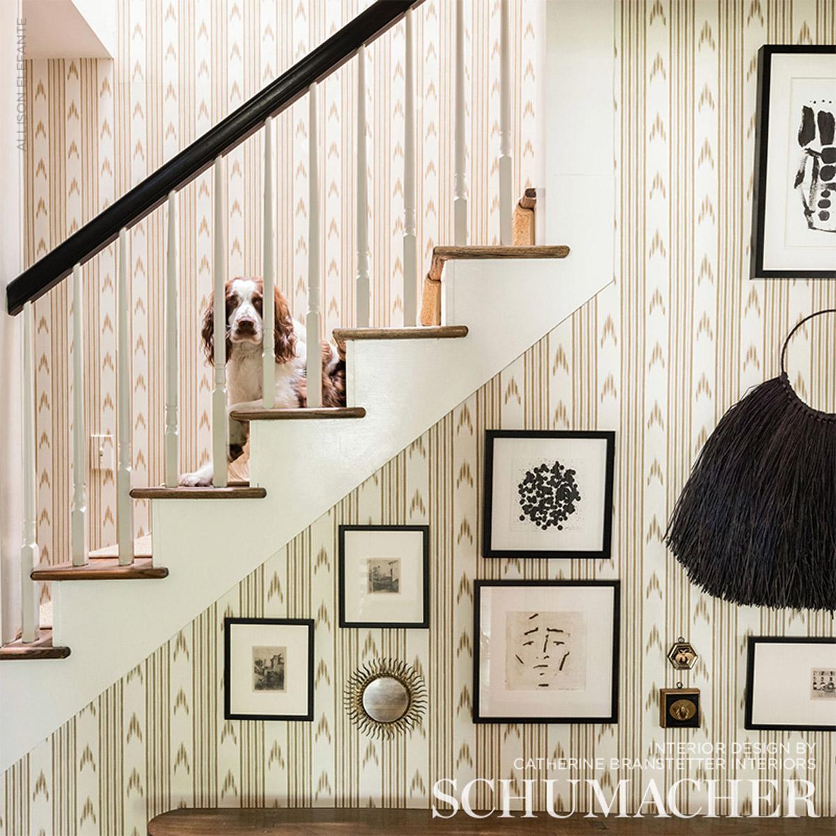 santa-barbara-ikat-5009222-4