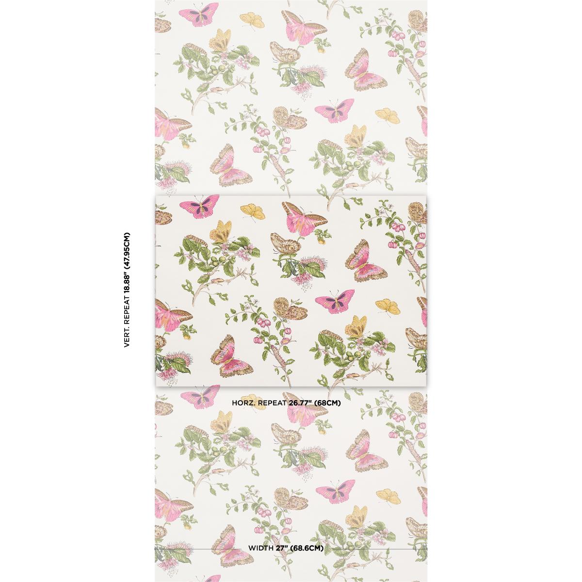 baudin-butterfly-5010690-1