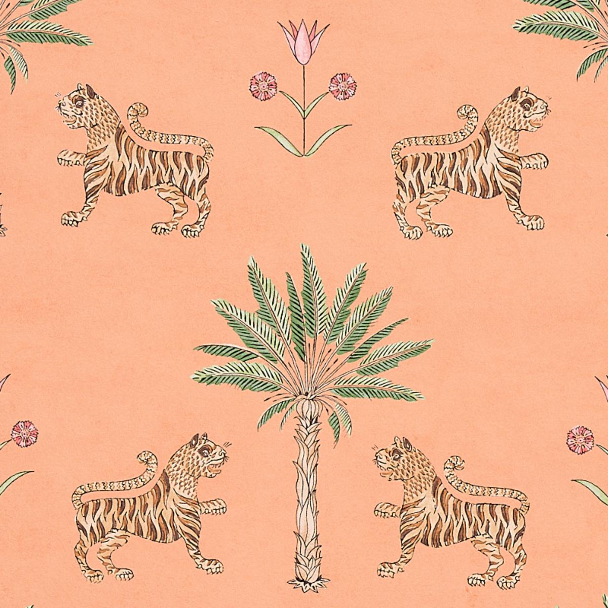 tiger-palm-5012920-2