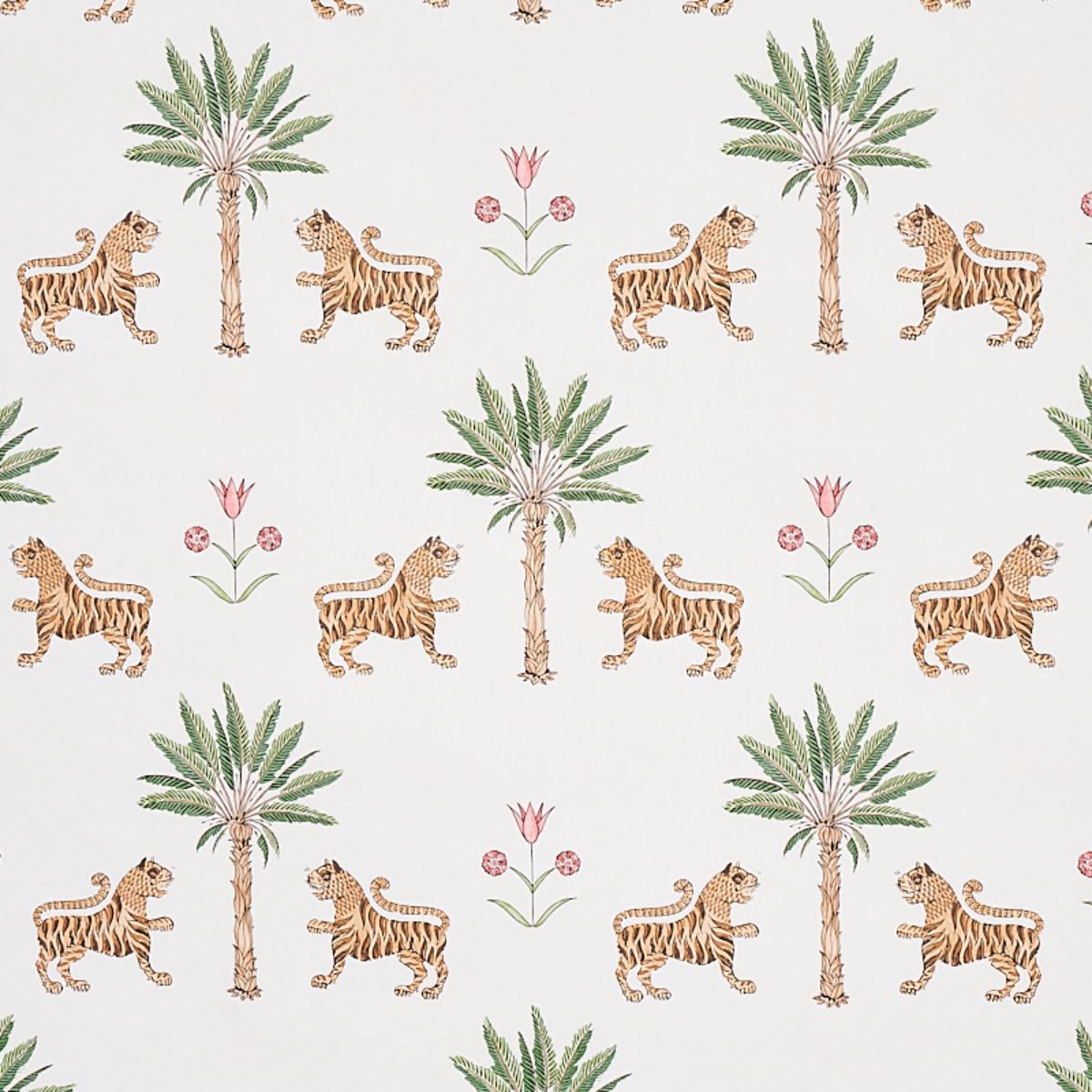 tiger-palm-5012922