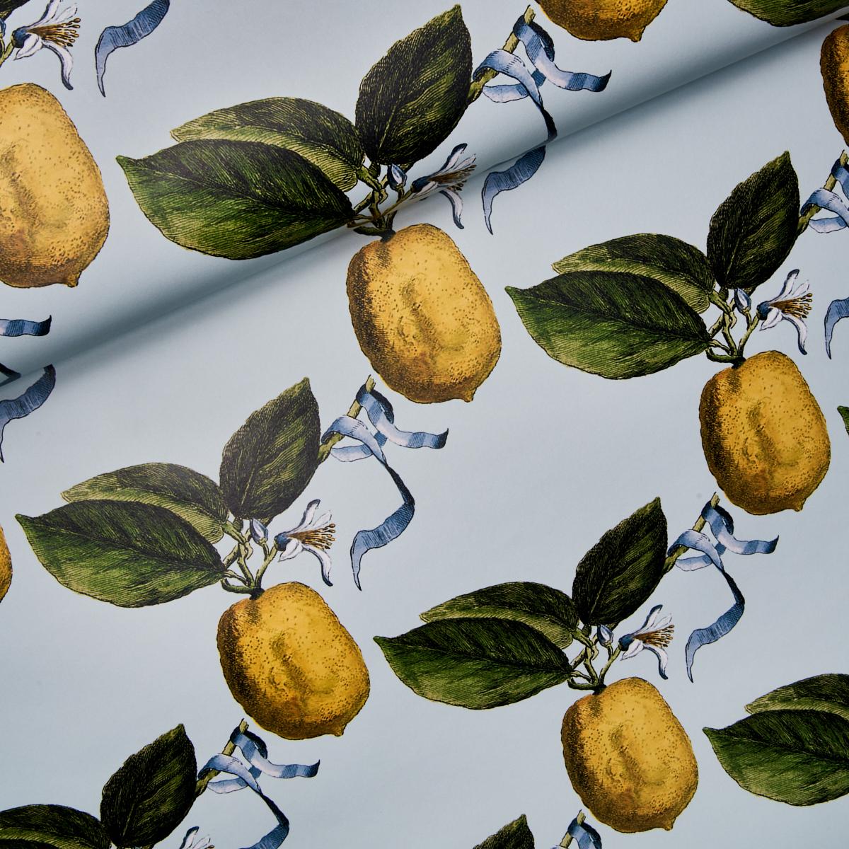 le-citron-5014281-3