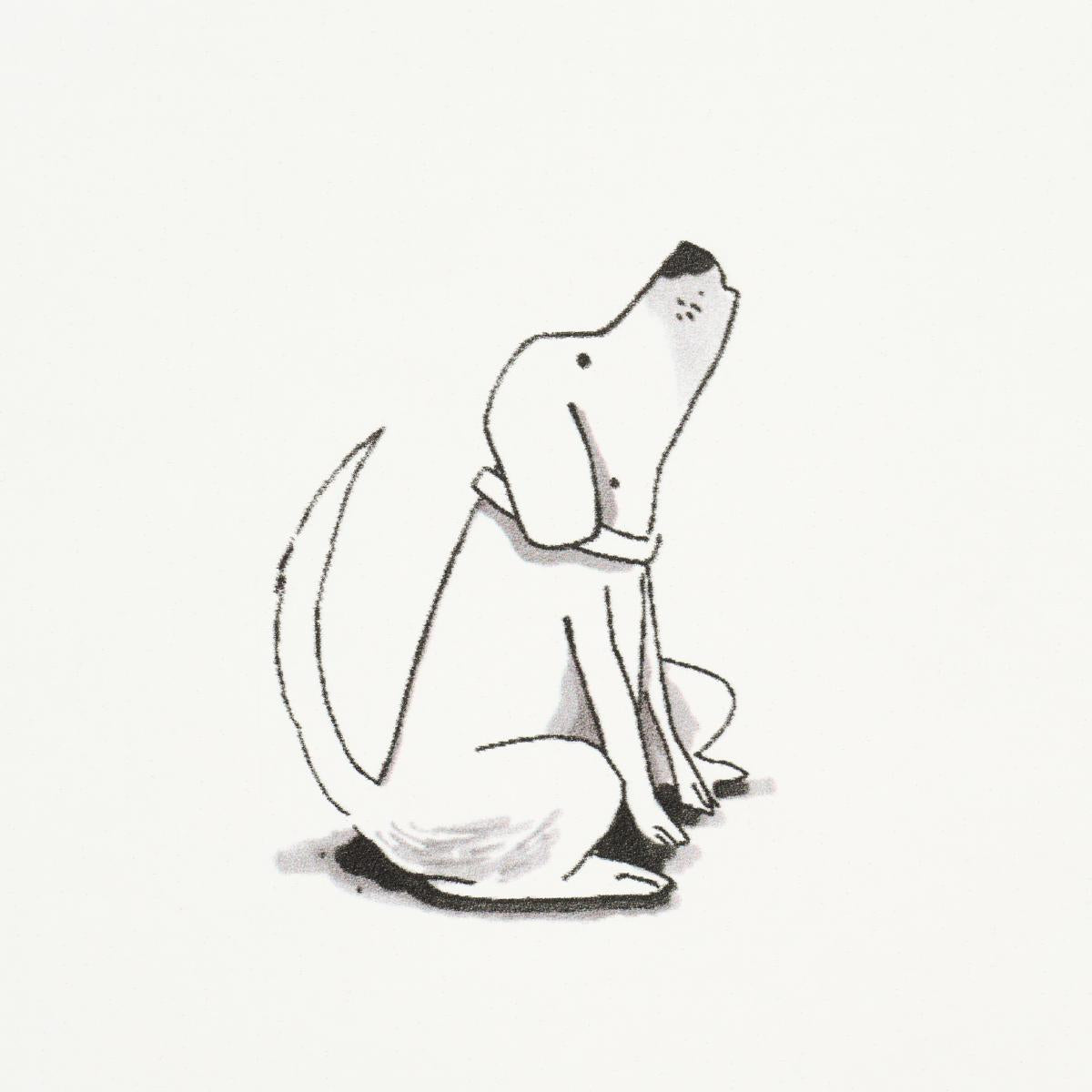 good-dogs-everywhere-5016130-4