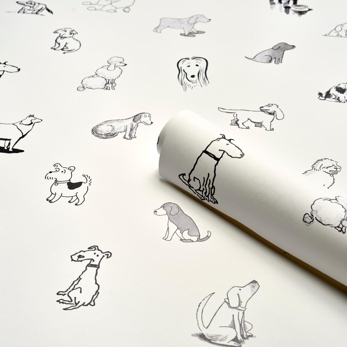 good-dogs-everywhere-5016130-7