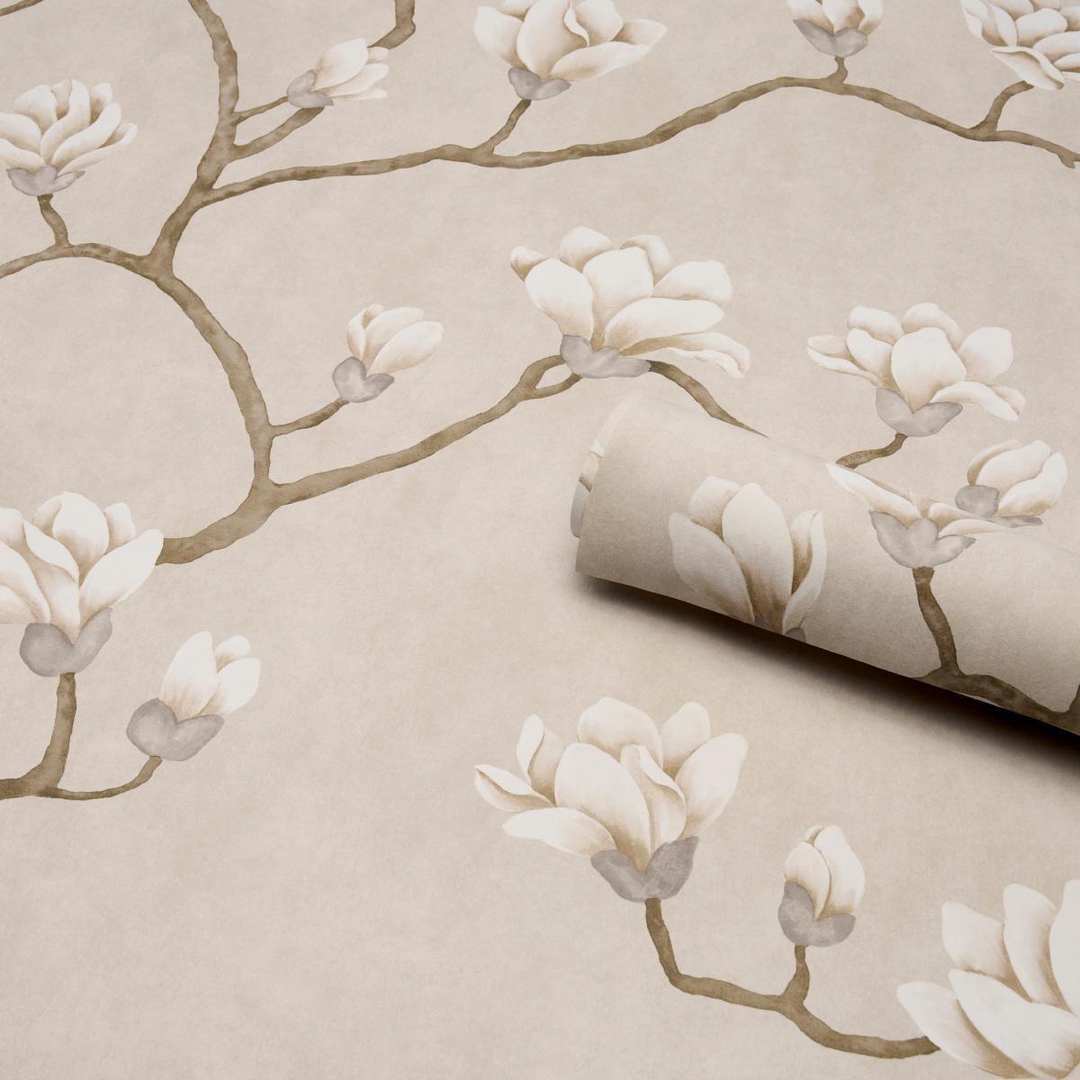 magnolia-tree-5016931-3