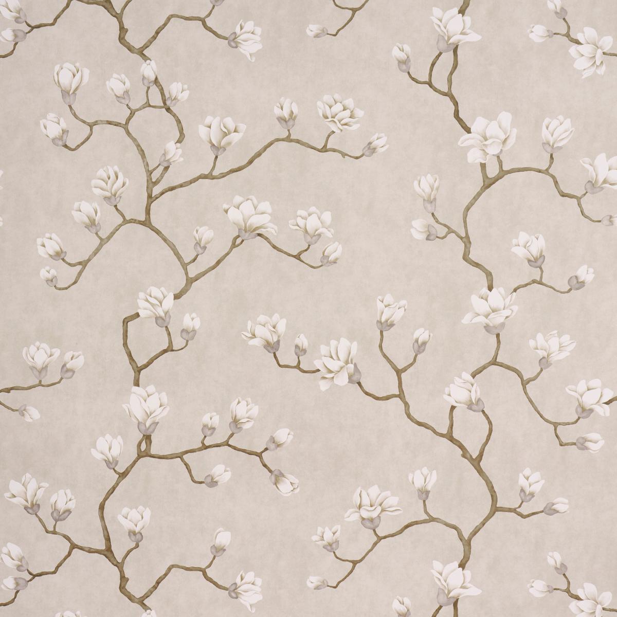 magnolia-tree-5016931