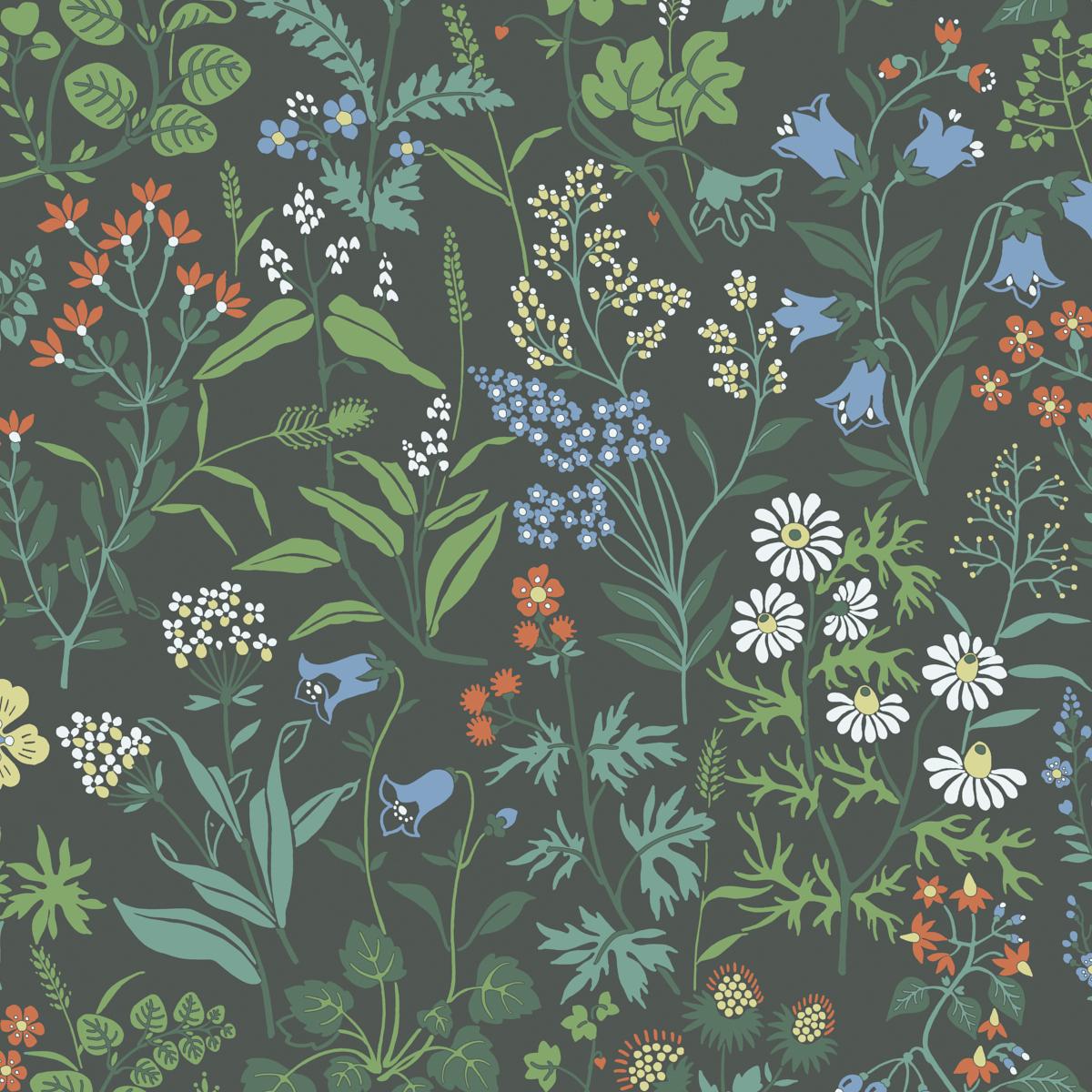 flora-5474