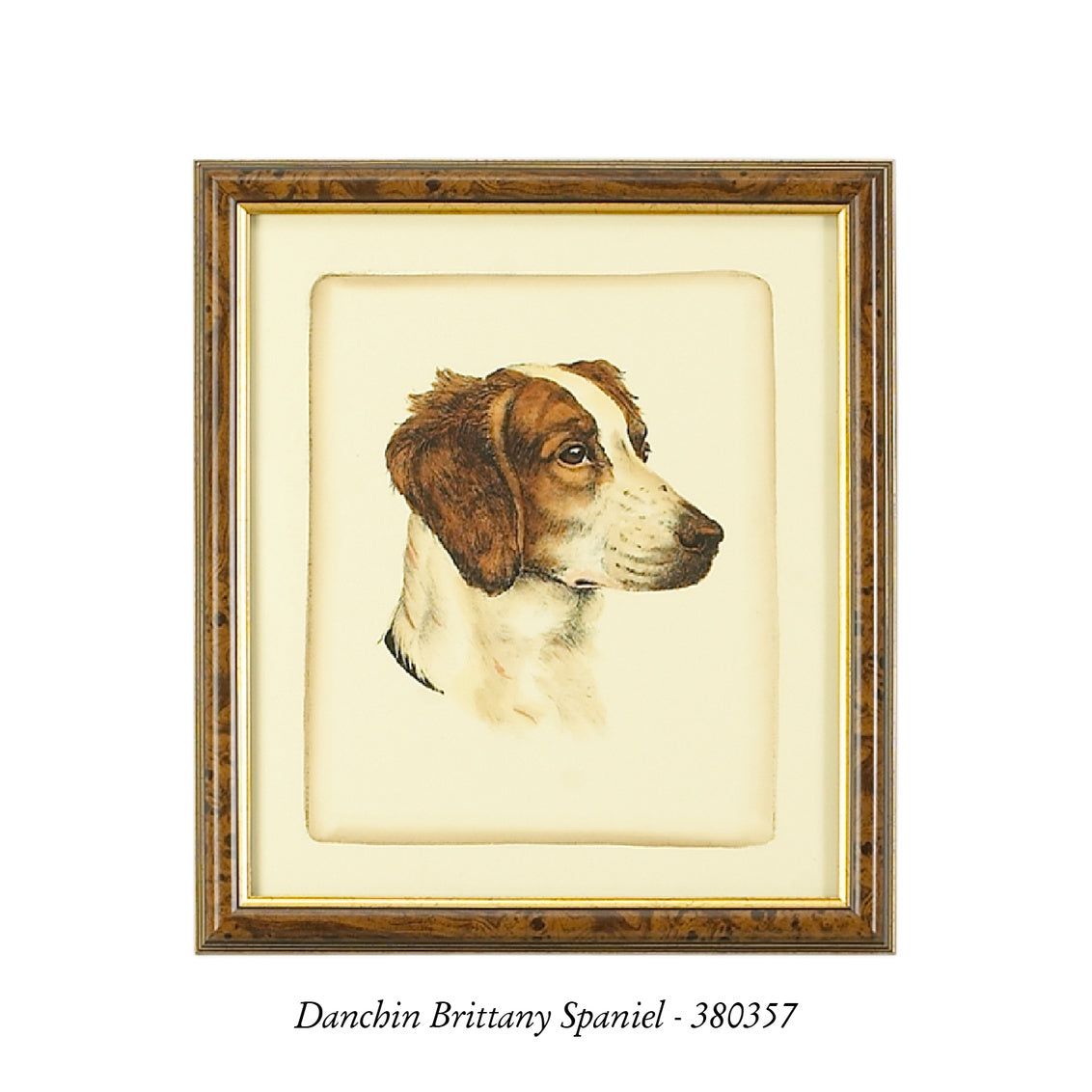 Danchin Setter