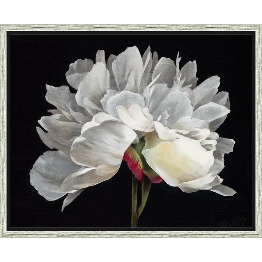 A stunning close-up of a blooming white peony, painted with meticulous detail, is set against a dramatic black background. This floral art piece will add a touch of elegance and serenity to any space.