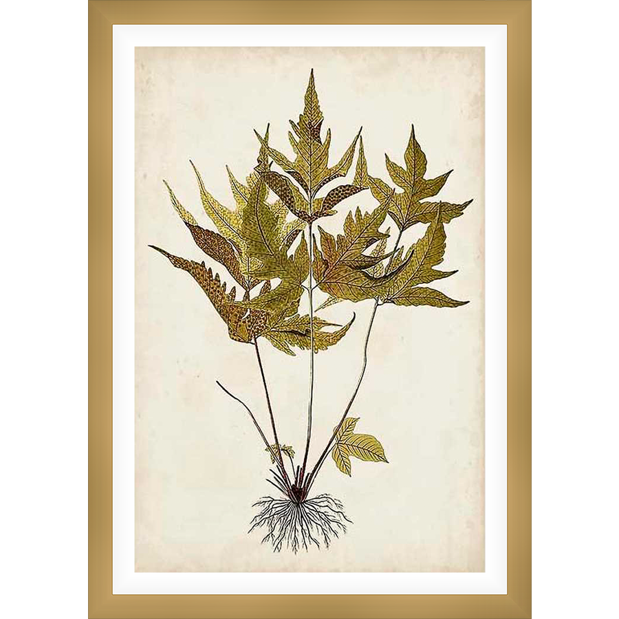 A botanical print showcasing a detailed illustration of a fern plant, featuring intricately drawn leaves and roots. This artwork is rendered in a vintage style, perfect for adding a touch of natural elegance to any space.