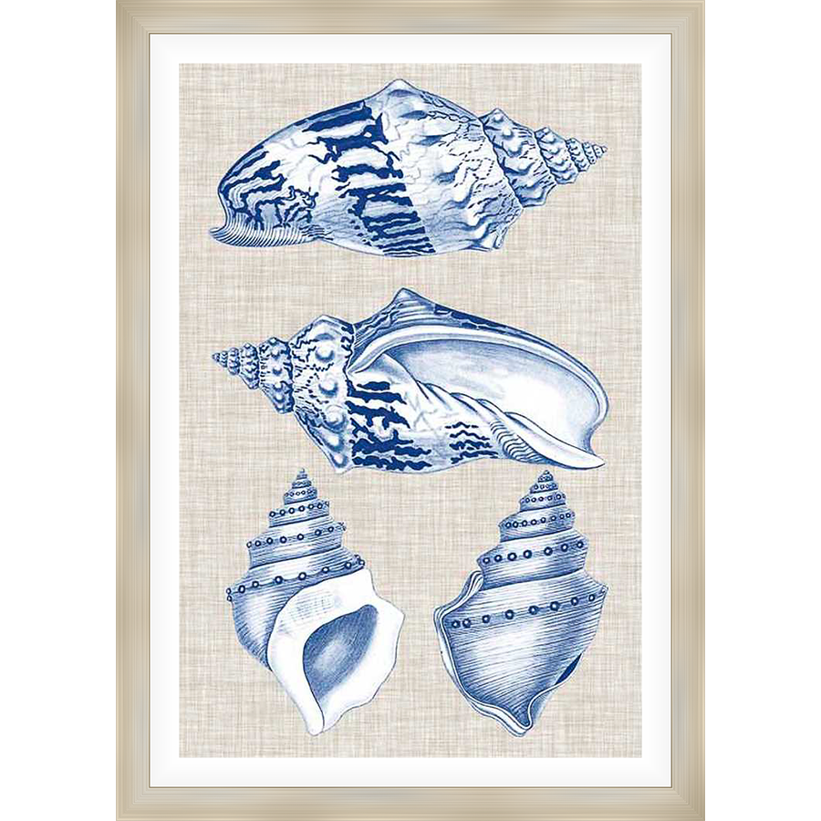 A stunning artwork featuring detailed illustrations of various seashells in shades of blue and white, perfect for adding a touch of coastal elegance to any space.