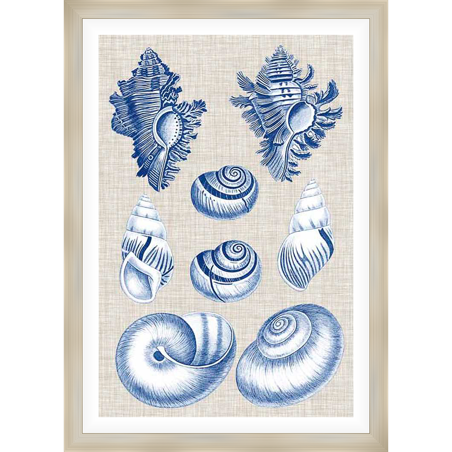 A beautiful coastal artwork featuring an assortment of detailed seashells in a classic blue and white design. This elegant piece evokes a sense of seaside serenity, perfect for adding a touch of nautical charm to your space.