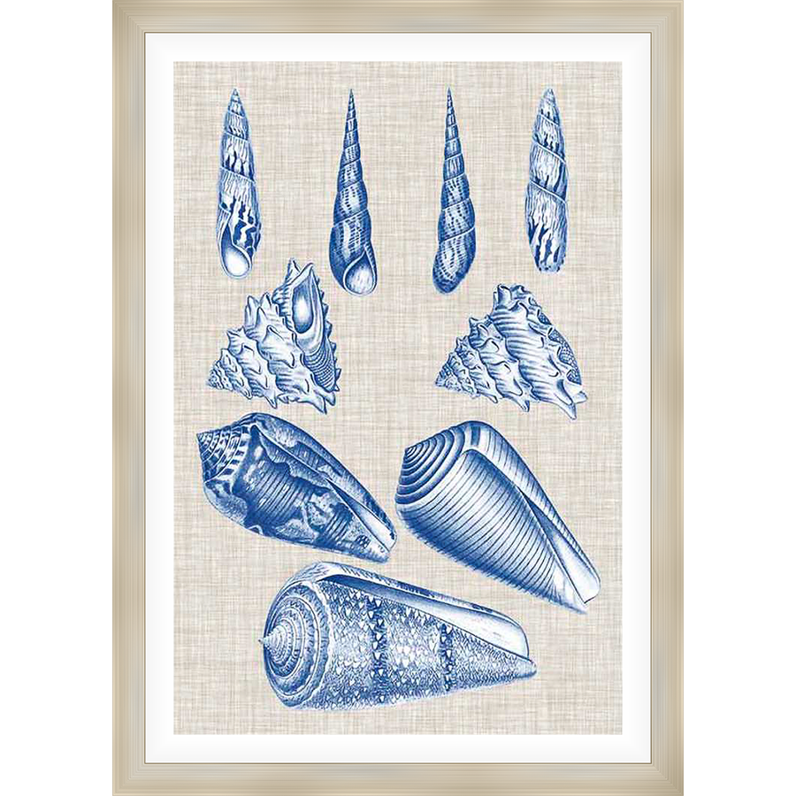 A stunning collection of detailed seashell illustrations in a classic blue and white palette, reminiscent of nautical designs. This artwork adds a touch of coastal elegance to any space, perfect for creating a serene and inviting atmosphere.