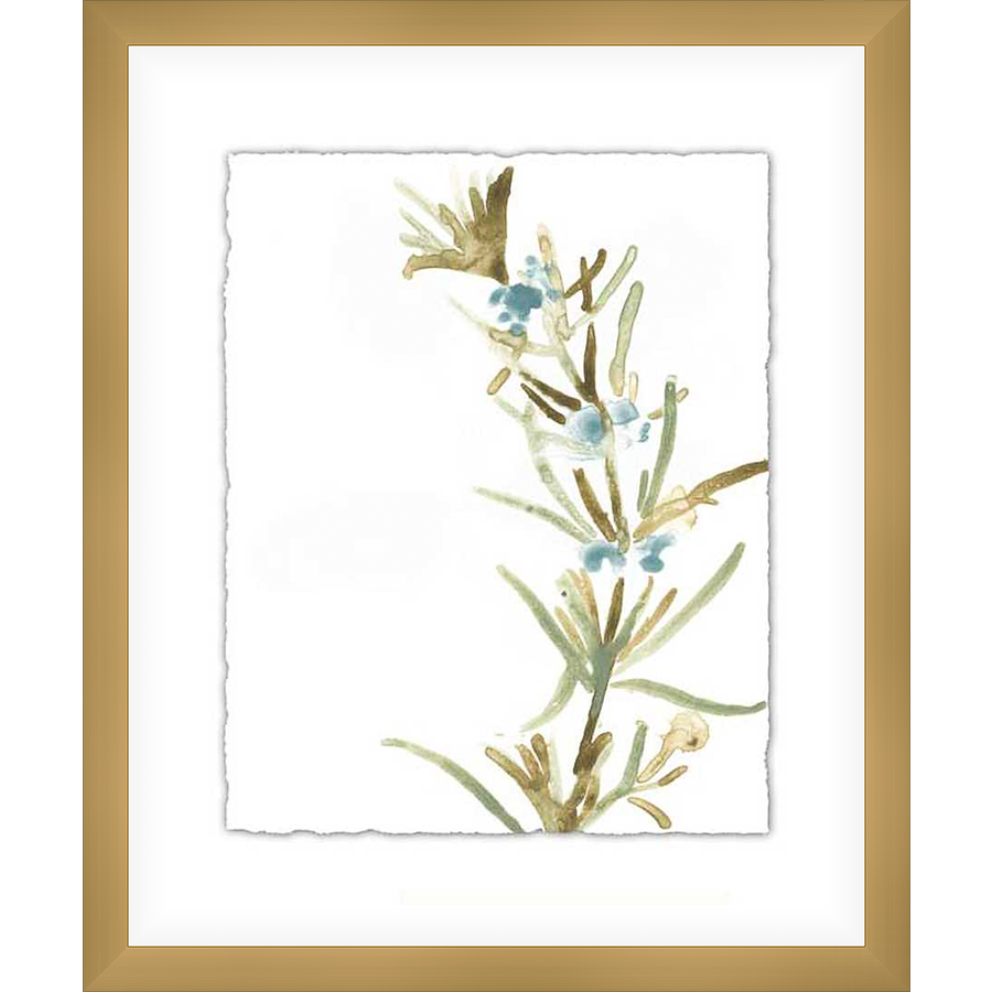 A delicate watercolor painting showcases a sprig of rosemary, rendered with soft brushstrokes and subtle color variations. The artwork evokes a sense of tranquility and natural beauty, perfect for adding a touch of organic charm to any space.