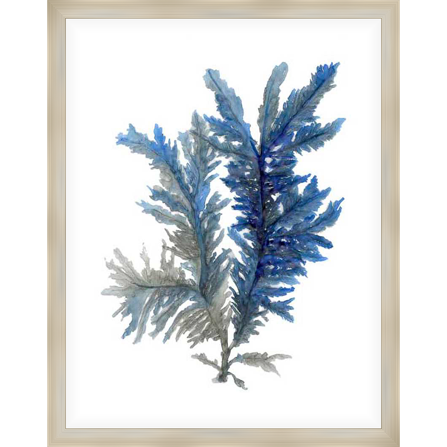 This stunning watercolor artwork captures the delicate beauty of marine flora, showcasing intricate textures and a serene palette. The vibrant blue and grey hues of the seaweed create a calming aesthetic, bringing a touch of coastal charm to any space.