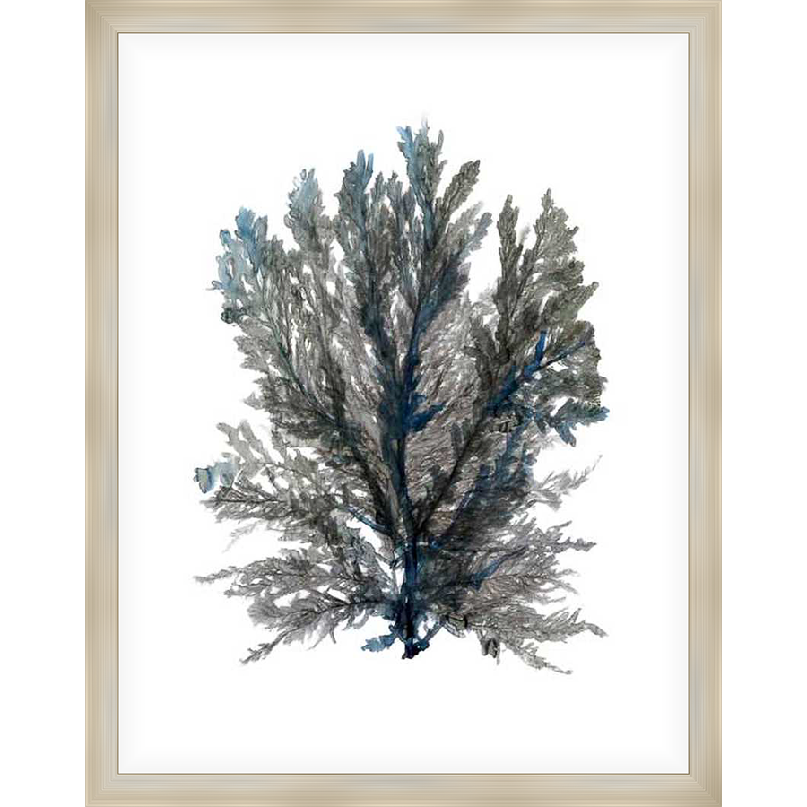 A serene, minimalist artwork featuring a delicate botanical illustration of a fern-like plant, rendered in soft watercolor washes, creating a sense of tranquility and natural beauty. This artwork is perfect for adding a touch of elegance and sophistication to any space.