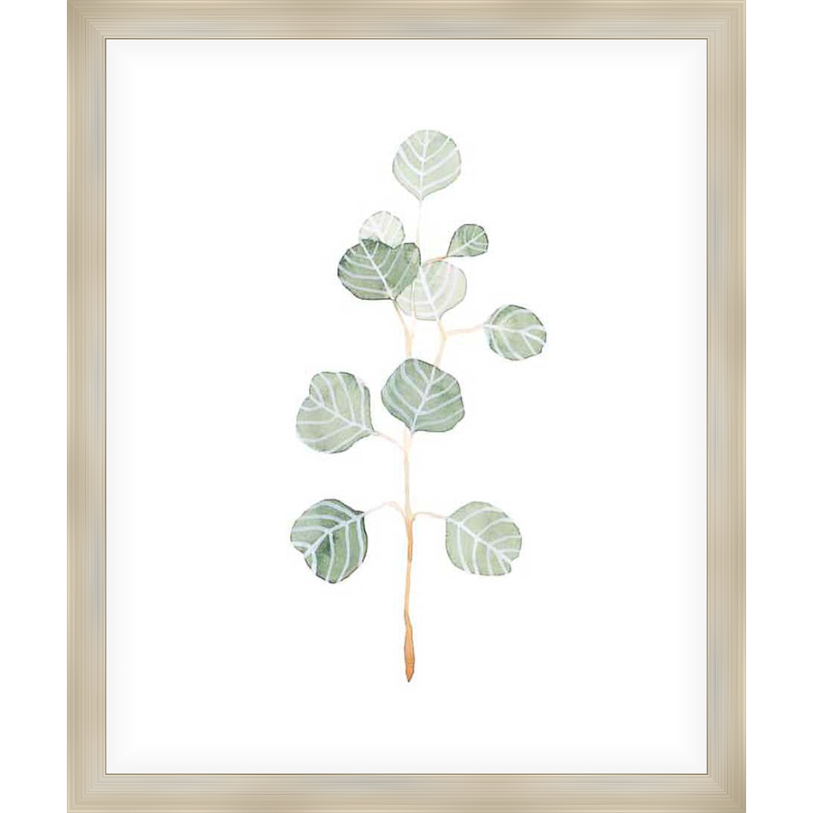 A delicate watercolor illustration showcases a sprig of eucalyptus, rendered with soft washes of color. This minimalist artwork evokes a sense of calm and natural beauty, perfect for adding a touch of serenity to any space.