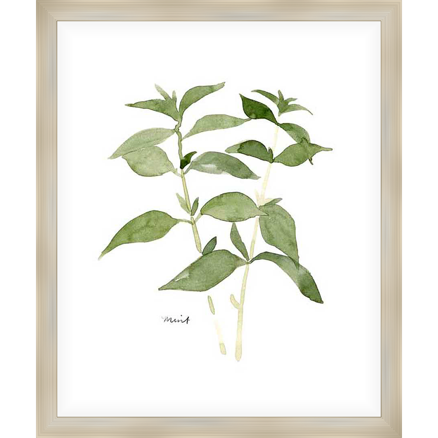 A delicate watercolor depiction of a sprig of mint, rendered with soft strokes and gentle hues. This art print brings the tranquility of nature to your home, perfect for any room needing a touch of botanical charm.