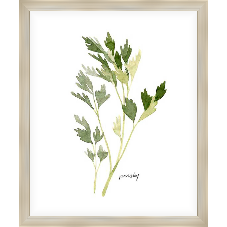This elegant art print features a delicate watercolor depiction of parsley, adding a touch of nature-inspired charm to any space. The minimalistic style and soft hues create a serene and refreshing aesthetic.