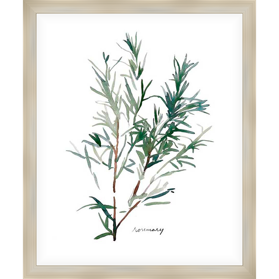 A beautiful watercolor painting captures the essence of fresh rosemary sprigs, perfect for adding a touch of nature to your space.