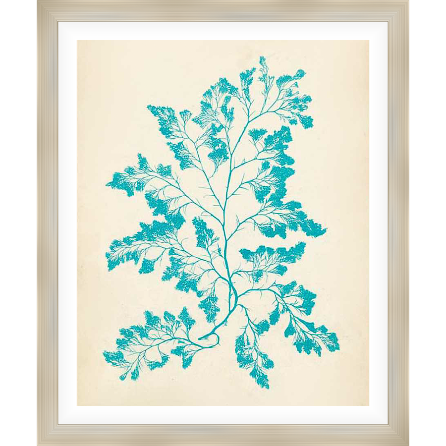 A serene print showcasing an elegant botanical illustration of a plant with delicate branch structures and textured leaves. This artwork evokes a sense of natural beauty, perfect for enhancing any space with a touch of coastal charm.