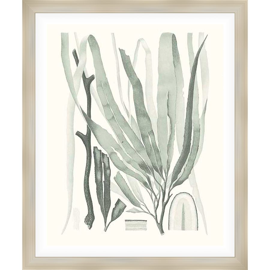 This artwork presents a serene depiction of various seaweeds, rendered in subtle, blended tones to evoke a sense of tranquility. The piece captures the intricate forms and textures of the natural world, creating a calming aesthetic suitable for any space.