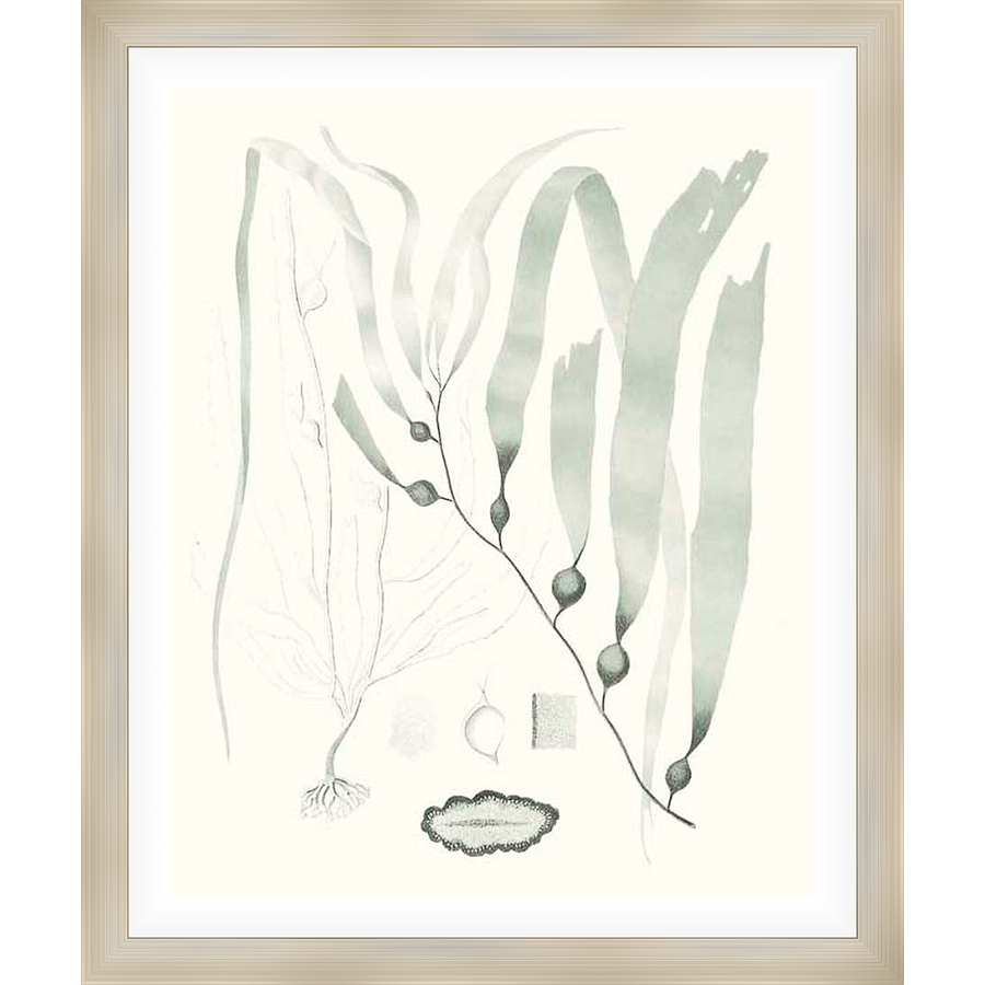 Explore the beauty of the ocean with this exquisite botanical print. Featuring an elegant illustration of seaweed, this artwork captures the delicate details of marine life, perfect for adding a touch of coastal serenity to your home decor.