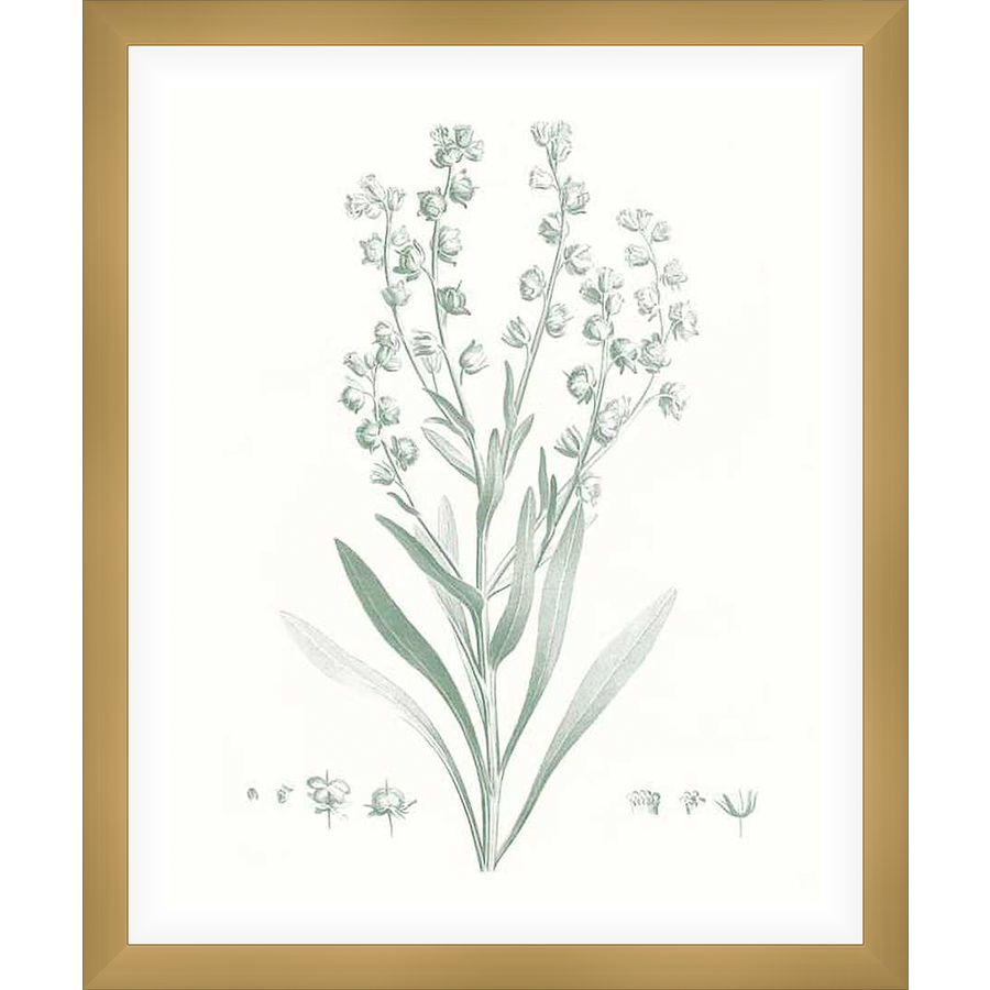 Botanical Greenery Art Print