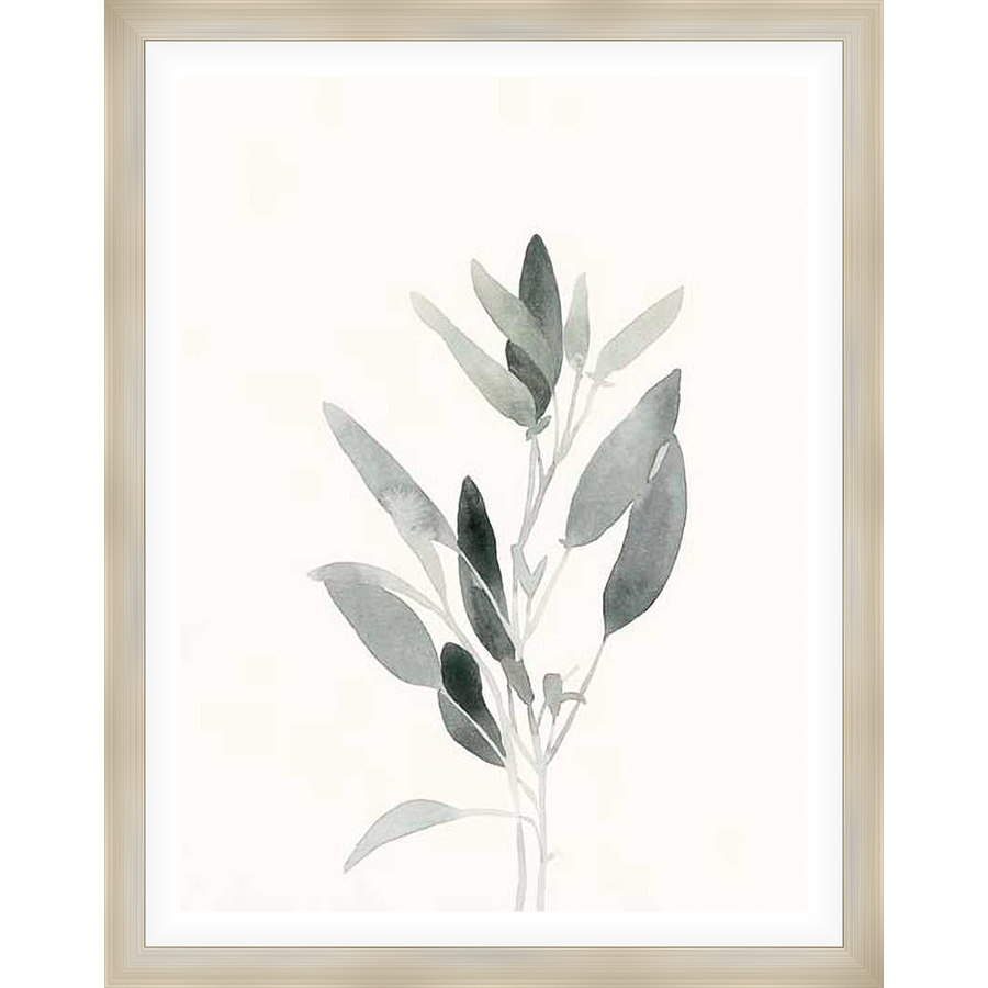 This elegant watercolor artwork depicts a delicate plant with softly shaded leaves and a serene, minimalist style. Perfect for adding a touch of nature-inspired tranquility to any space.