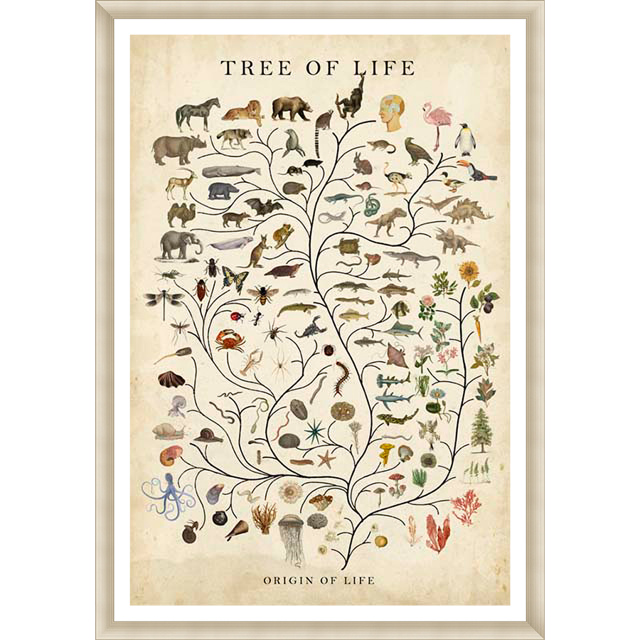 A fascinating vintage-style print showcases the evolutionary "Tree of Life," featuring a detailed illustration of various animals, plants, and organisms. The artwork illustrates the interconnectedness of life on Earth.