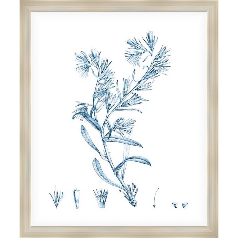 This botanical art print showcases a delicate illustration of flowering plant with intricate details. Its timeless design complements any decor, adding a touch of natural elegance.