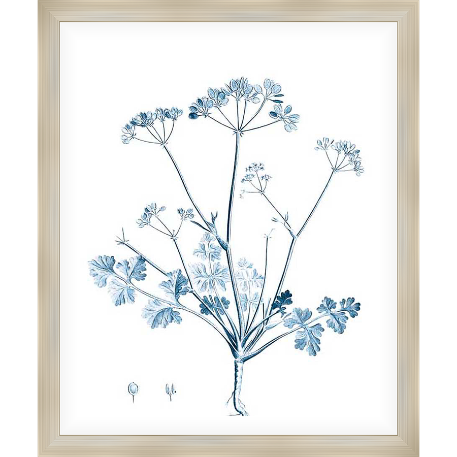 This botanical print showcases a delicate illustration of flowering plant, rendered in a vintage style. The artwork brings a touch of natural elegance to any space, with its soft blue hues and intricate detailing.