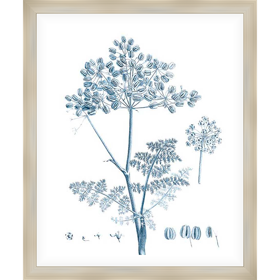 This botanical print showcases a detailed illustration of a flowering plant, perfect for adding a touch of nature-inspired elegance to any space. The artwork features a delicate rendering of the plant's structure, from its intricate seed heads to its fine foliage.