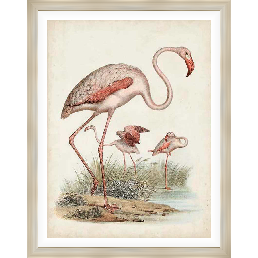 A vintage-style art print showcases elegant flamingos in their natural habitat. This print brings a touch of nature and a vintage aesthetic to any space.