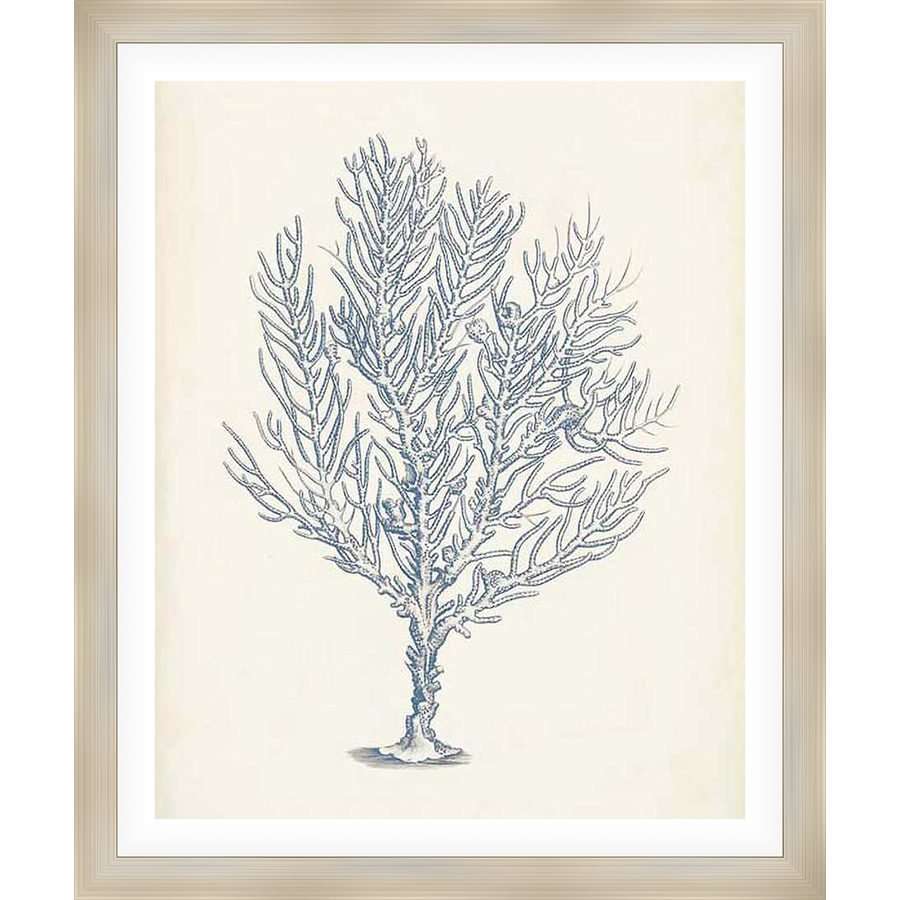 This stunning artwork depicts a detailed illustration of coral, rendered in a sophisticated style. Its serene design and neutral palette create a calming ambiance, making it a perfect addition to any space seeking a touch of coastal elegance.
