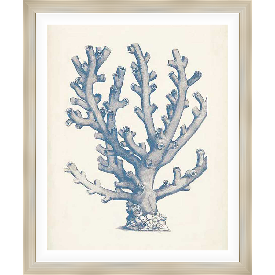 A beautiful coral reef illustration in soft blue hues, perfect for bringing a touch of coastal charm to any space. This artwork showcases the intricate details of a coral formation against a neutral backdrop.